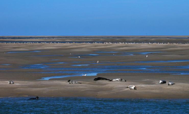 Вілла Chez Julian Belle Maison A 20 Minutes De La Baie De Somme Аббевіль Екстер'єр фото